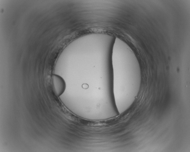 X0000068770553200604281020