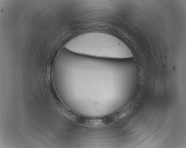 X0000068770554200604281020