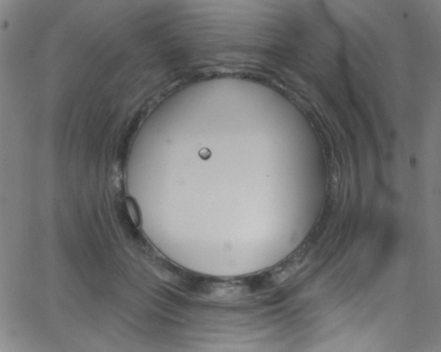 X0000068770555200604281020