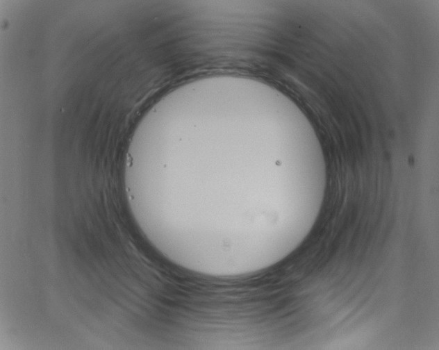 X0000068770556200604281020