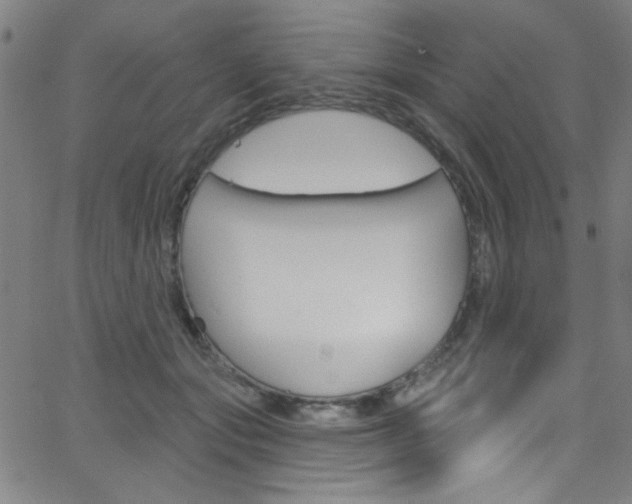 X0000068770557200604281020