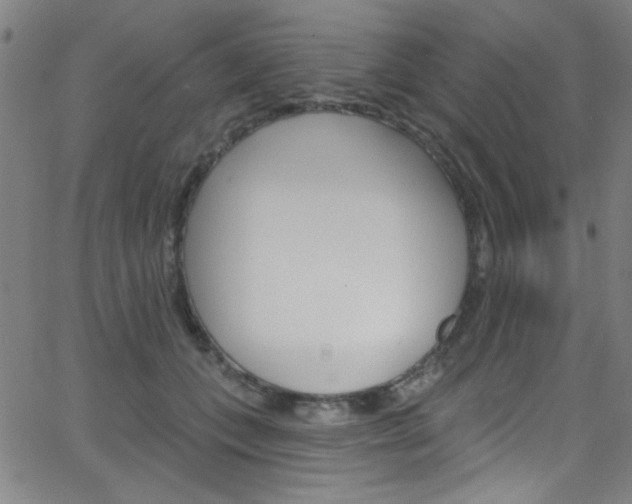 X0000068770559200604281020