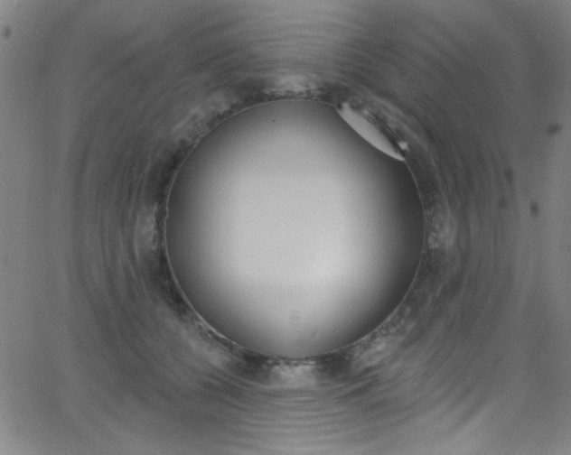 X0000068770560200604281020