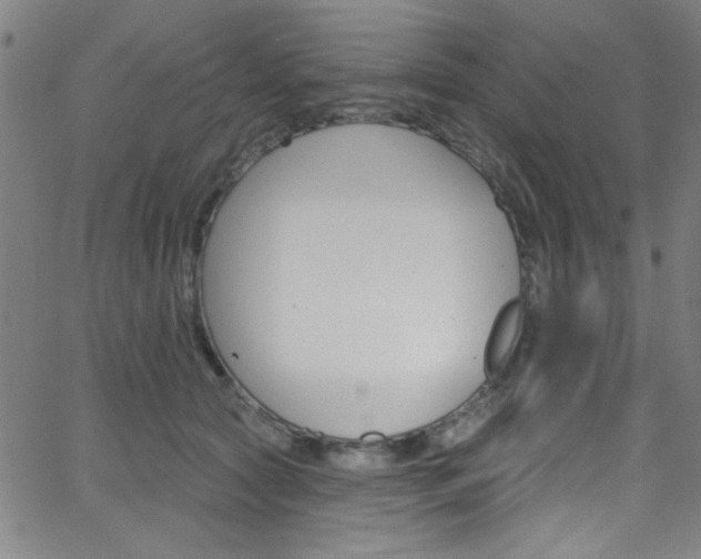 X0000068770561200604281021