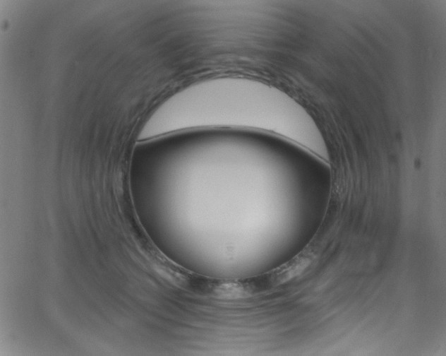 X0000068770562200604281021