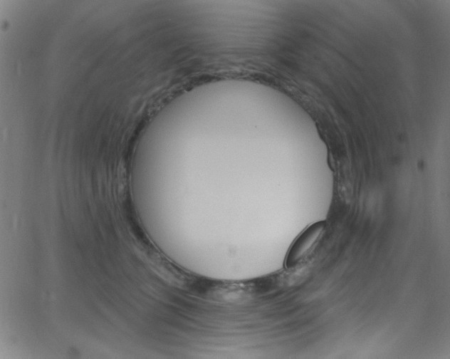 X0000068770563200604281021