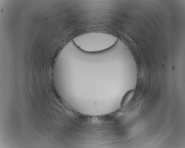 X0000068770565200604281021