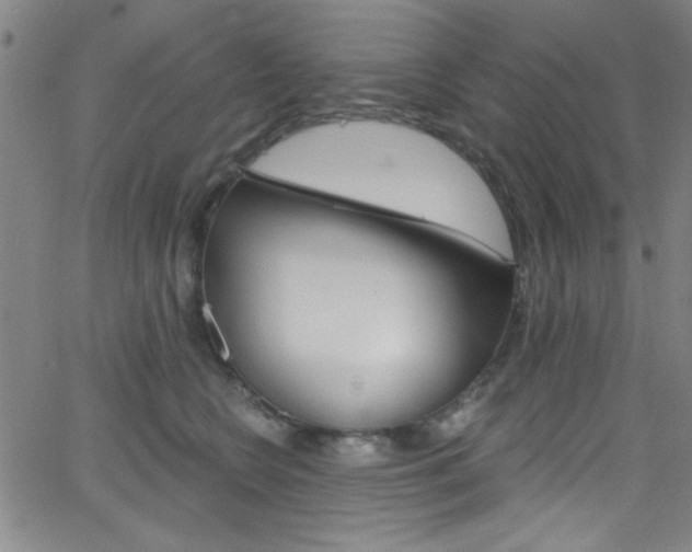 X0000068770566200604281021