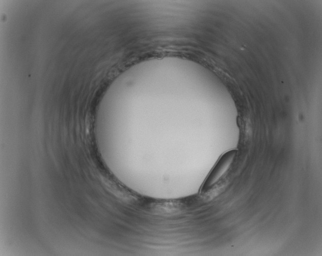 X0000068770567200604281021