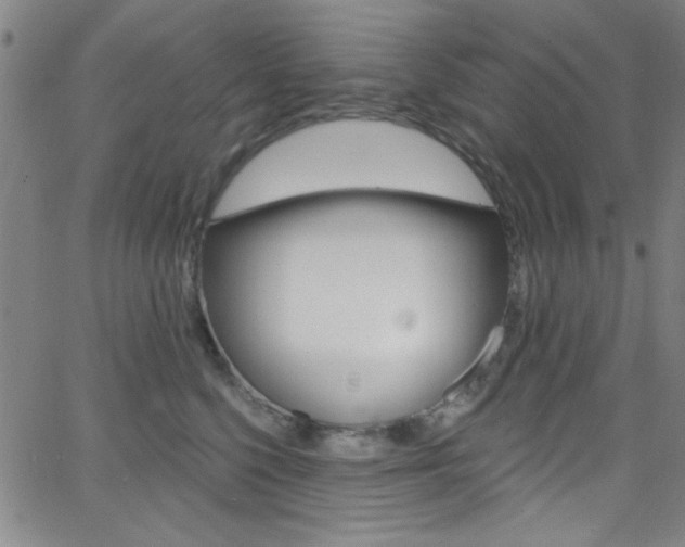 X0000068770568200604281021