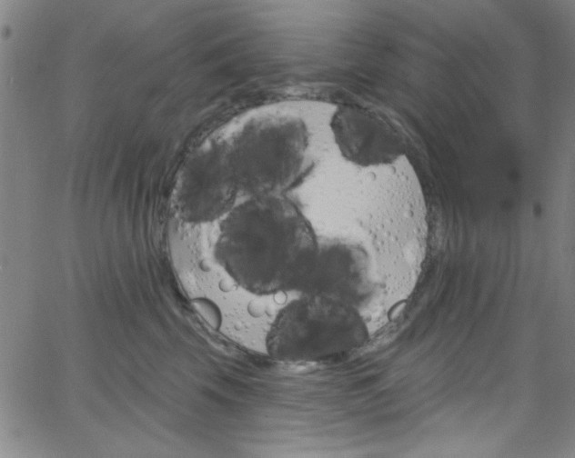 X0000068770569200604281021