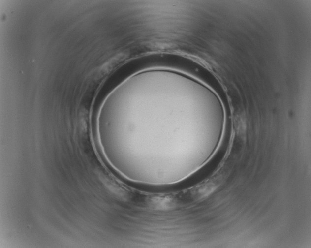 X0000068770570200604281021