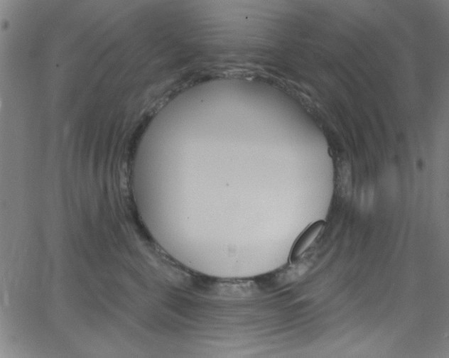 X0000068770571200604281021