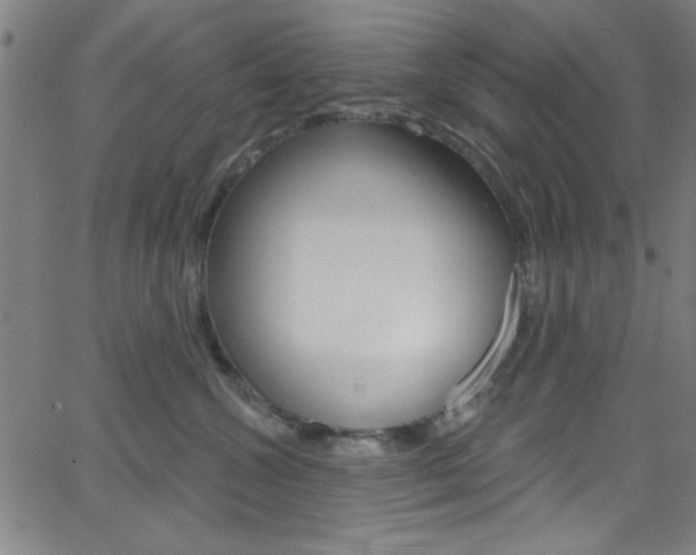 X0000068770572200604281021