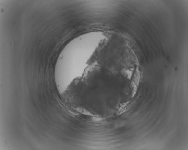 X0000068770573200604281021