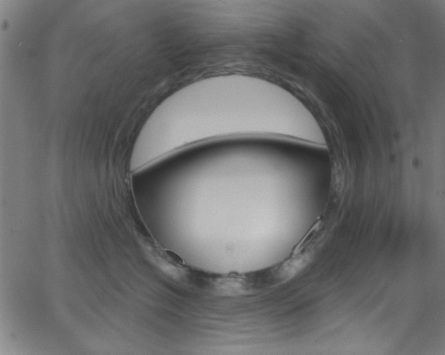 X0000068770574200604281021