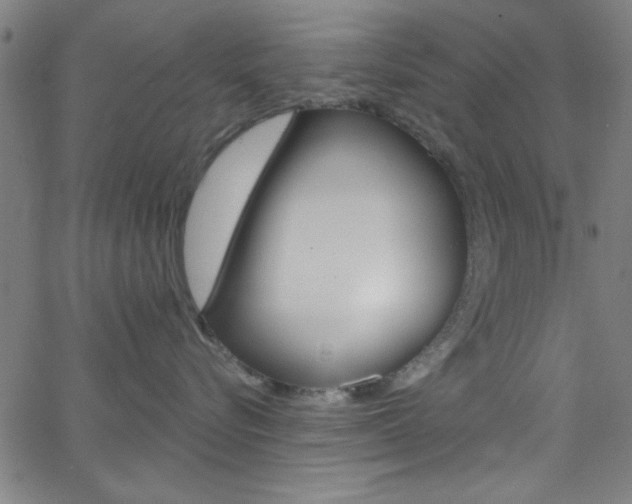 X0000068770576200604281021