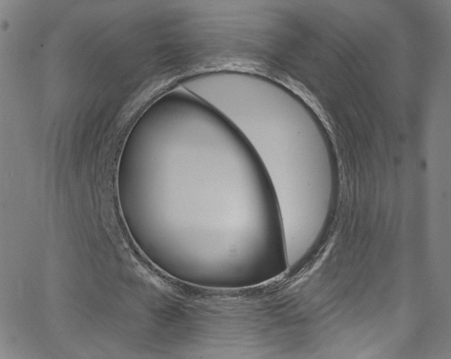 X0000068770577200604281020