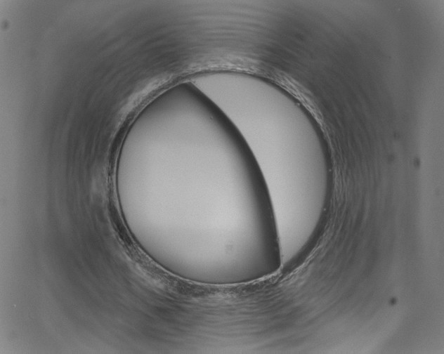 X0000068770578200604281020