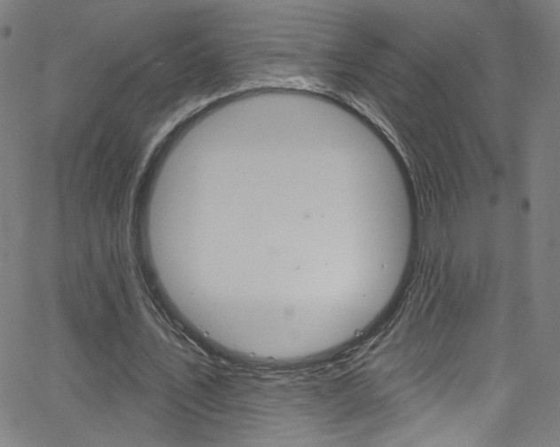 X0000068770579200604281020