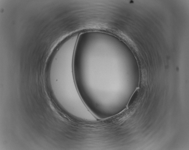 X0000068770580200604281020