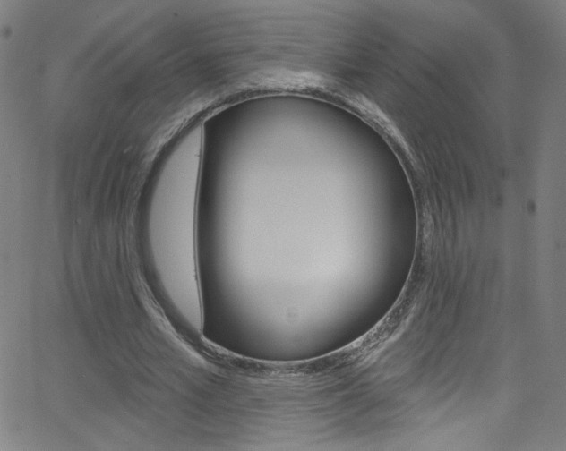 X0000068770581200604281020