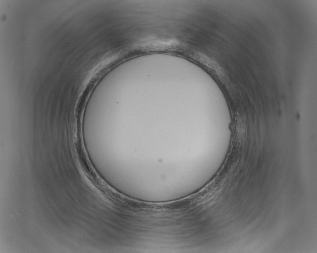 X0000068770582200604281020