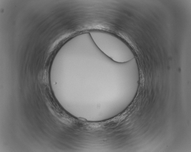 X0000068770583200604281020