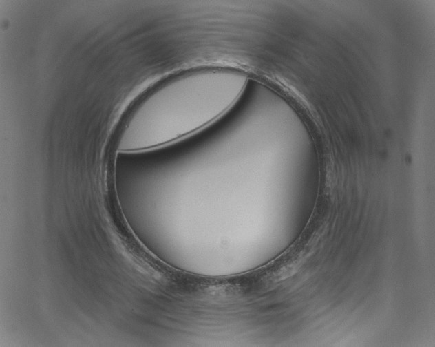 X0000068770584200604281020