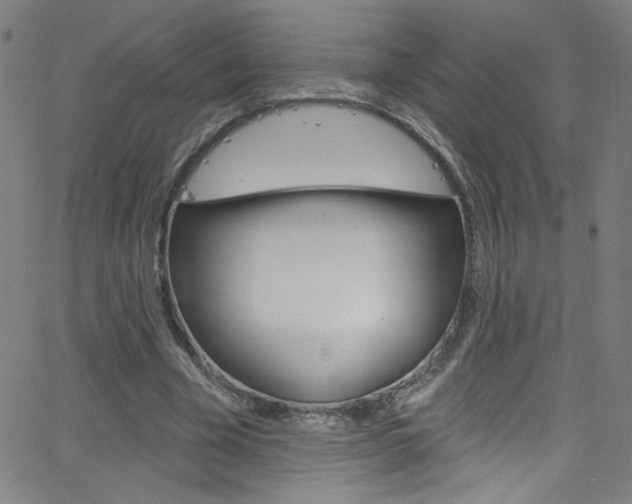 X0000068770585200604281020