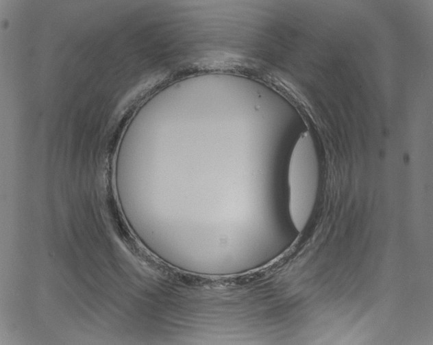 X0000068770586200604281020