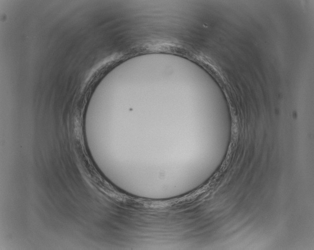 X0000068770587200604281020