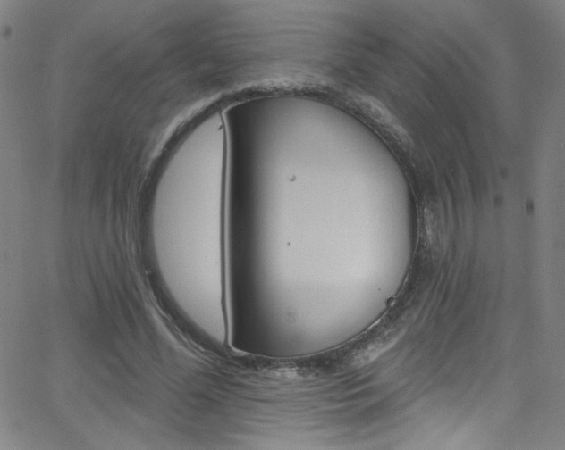 X0000068770588200604281020