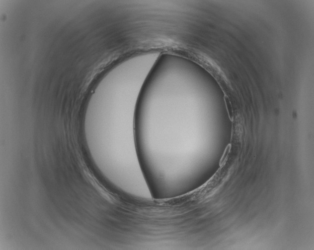 X0000068770589200604281020