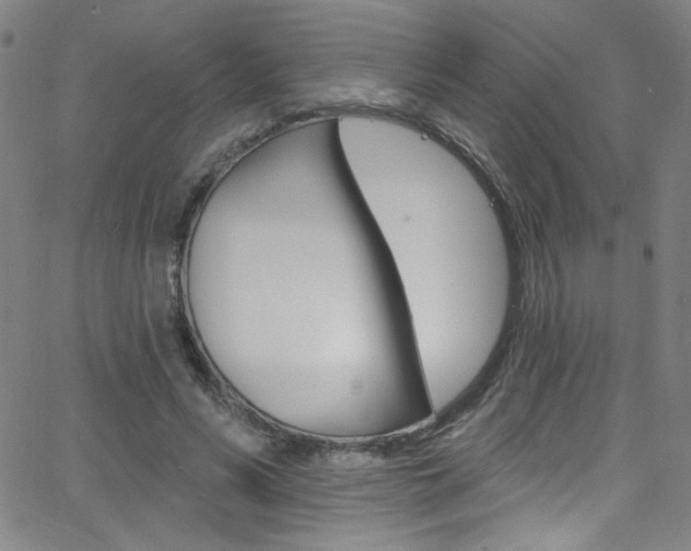 X0000068770590200604281020