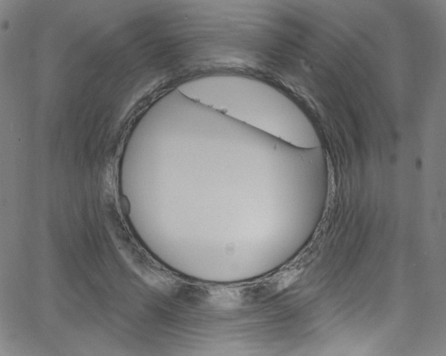 X0000068770591200604281020