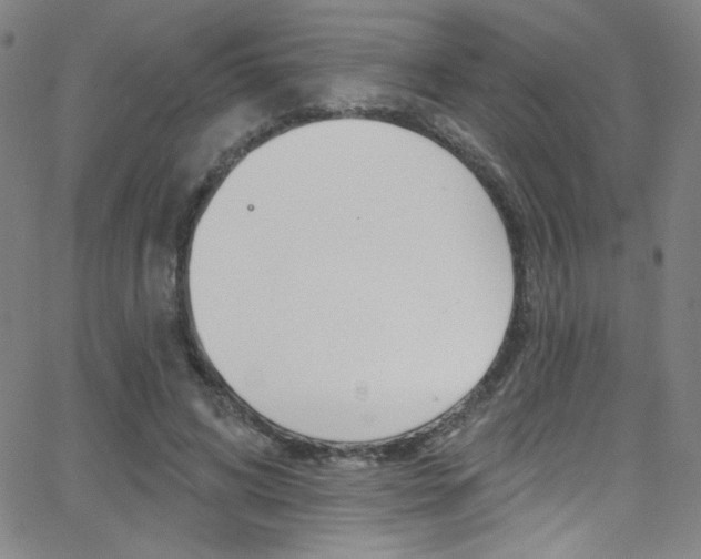 X0000068770592200604281020