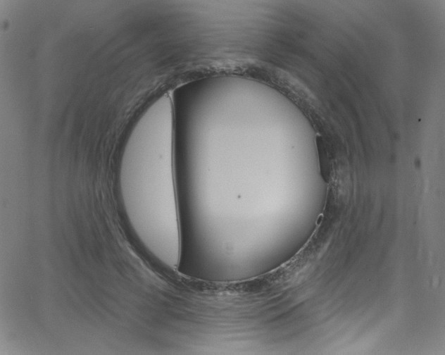 X0000068770593200604281020