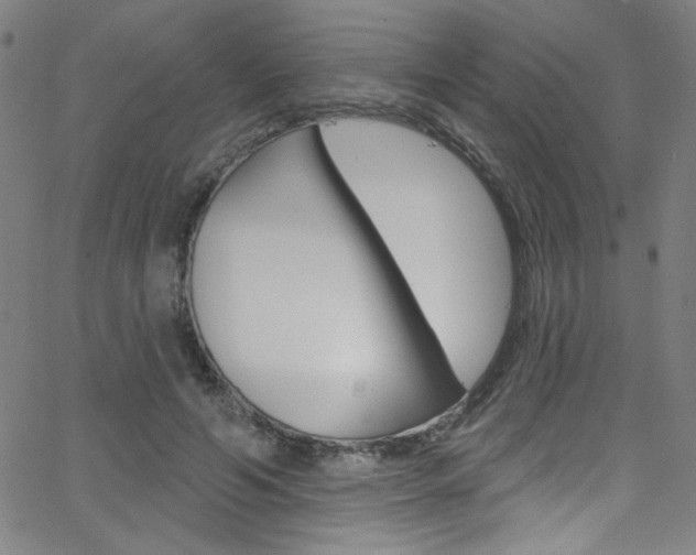 X0000068770594200604281020