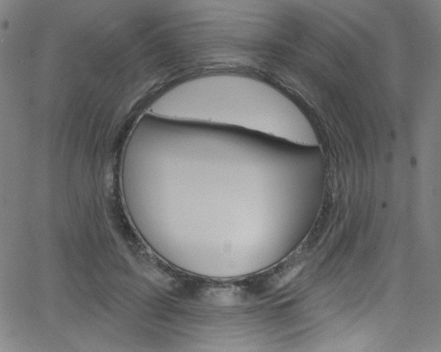 X0000068770595200604281020