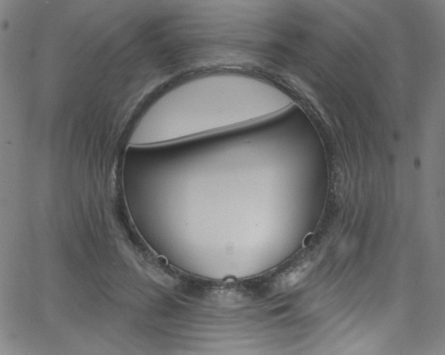 X0000068770596200604281020