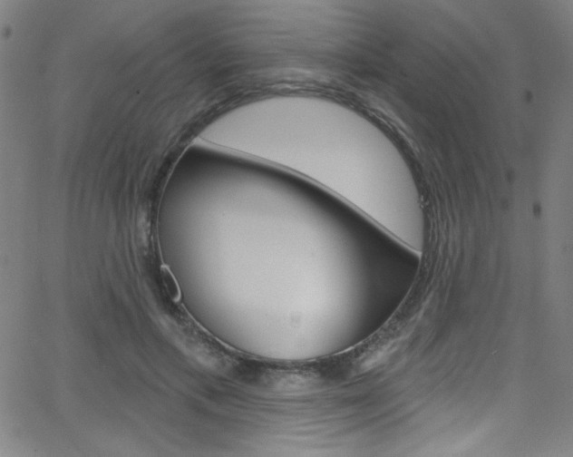 X0000068770597200604281020