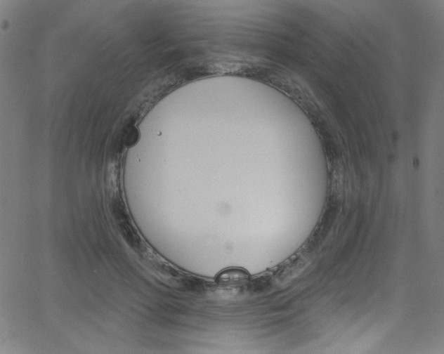 X0000068770598200604281020