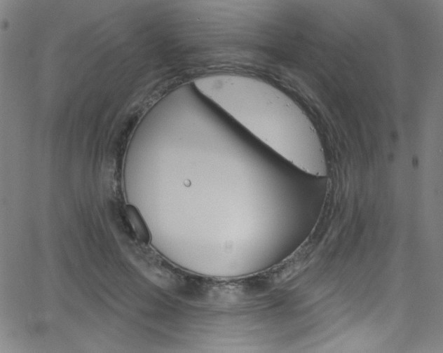 X0000068770599200604281020