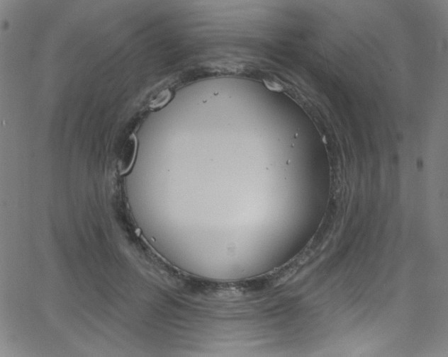 X0000068770600200604281020