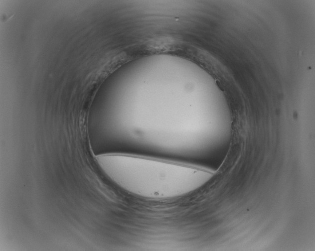 X0000068770601200604281020