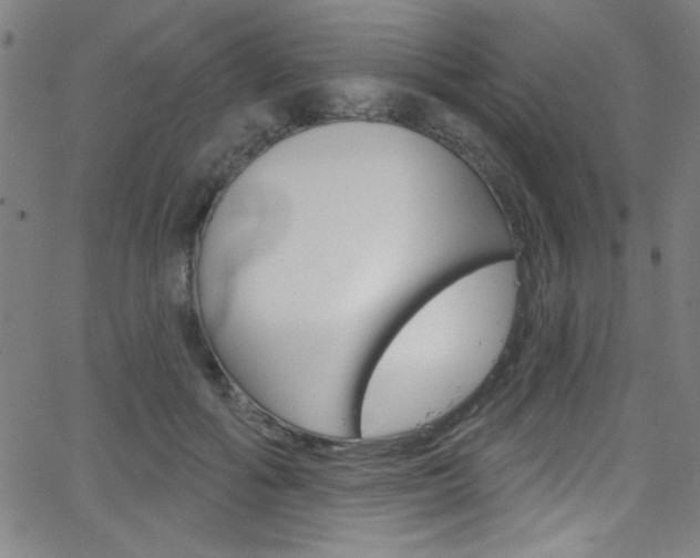 X0000068770602200604281020