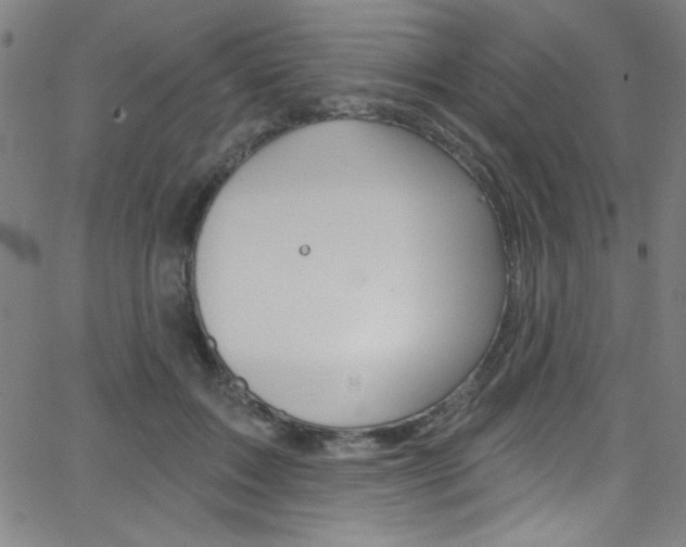 X0000068770603200604281020