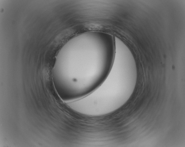 X0000068770604200604281020