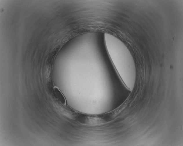 X0000068770605200604281020